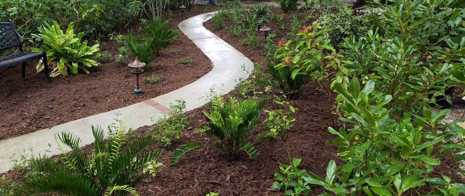 Home Native Butterfly Flowers